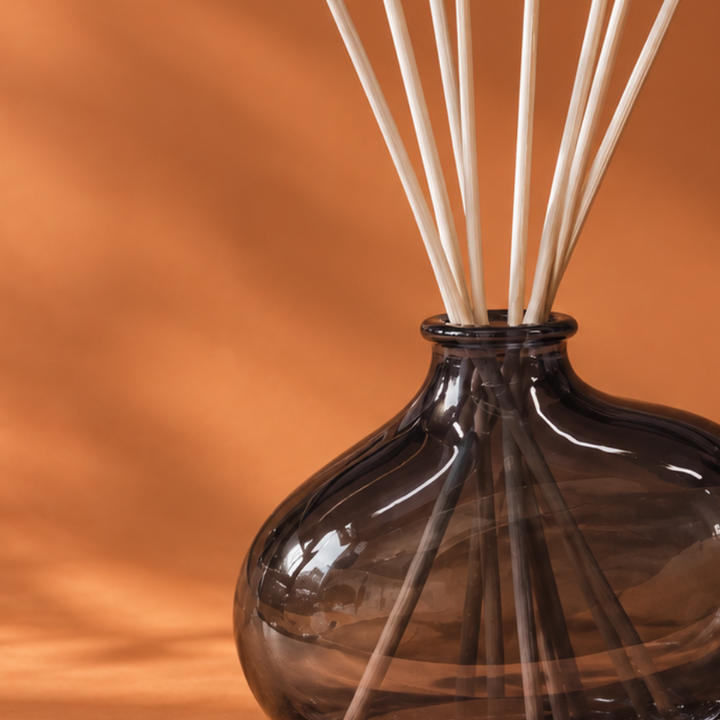 A reed diffuser with a rounded, translucent dark smoky glass bottle and nine light natural wood reeds, set against a warm terracotta background with soft leaf shadows.