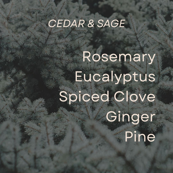 Cedar & Sage: Roll-On Perfume