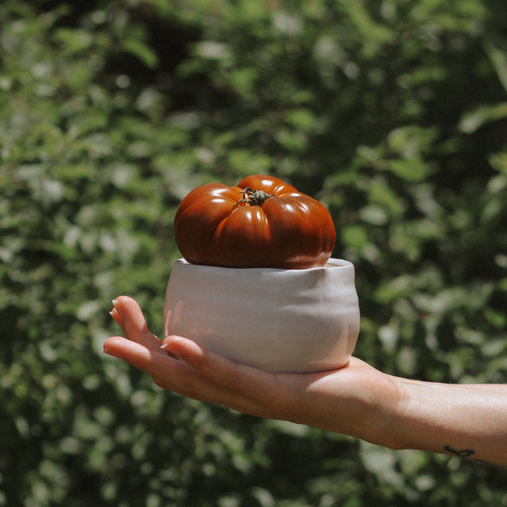 On The Vine Candle (9.5 oz)
