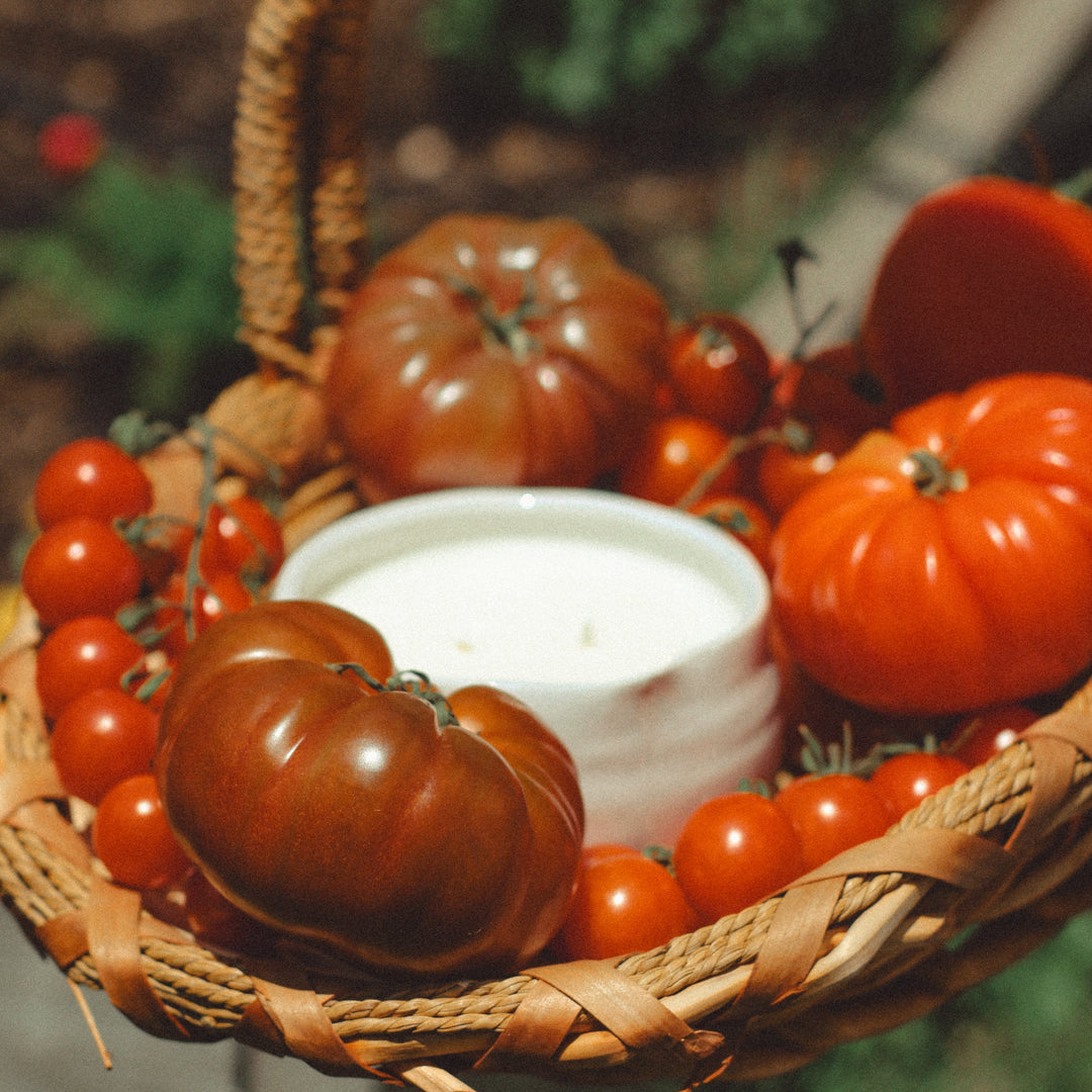On The Vine: Trio Bundle