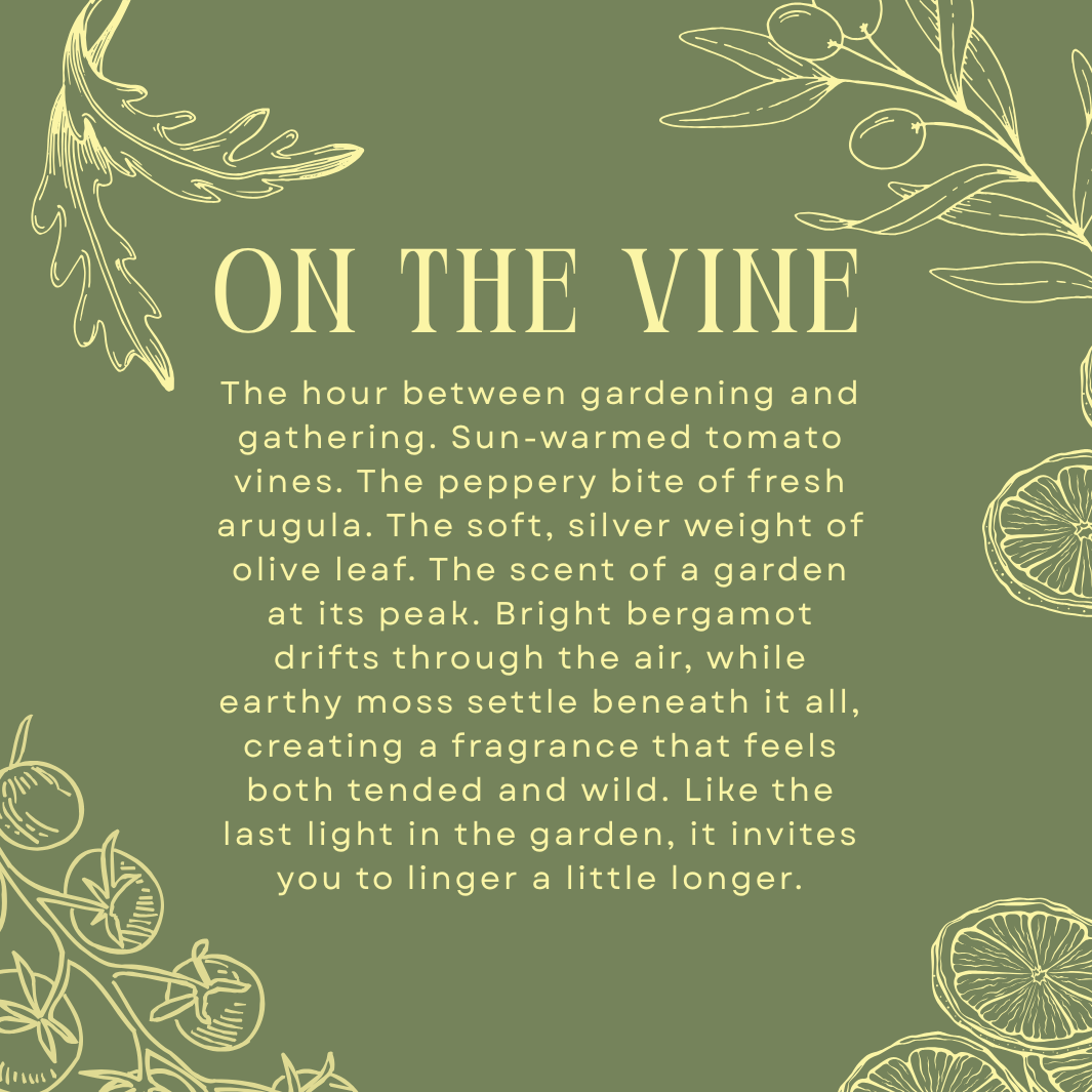 On The Vine: Candle (9.5 oz)