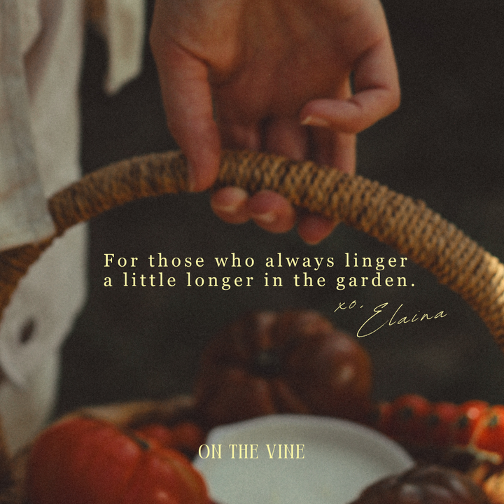 On The Vine: Candle (9.5 oz)